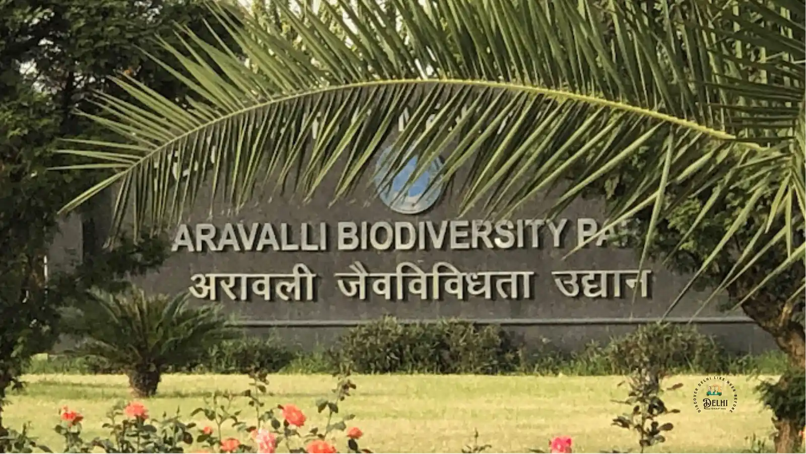 Aravalli Biodiversity Park
